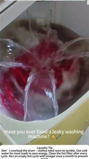 Home Laundry – A Machine That Does the Dirty Work! 🌀🧺