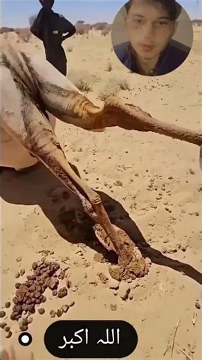 allahuakber#duet #viral