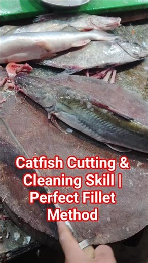 Catfish Cutting & Cleaning Skill #CatfishCutting #FishFillet #FishCleaning #SeafoodShorts #Shorts
