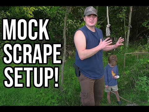 Deer Hunting 101: Setting Up a Mock Scrape That Works