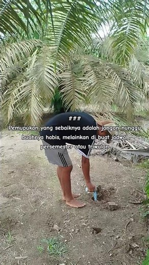 Fertilize the planting model to be effective in the dry season