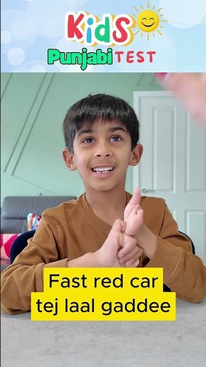 Can You Pass This Punjabi Challenge? #learnpunjabi