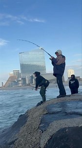 77K views · 358 reactions | #valentino #bluefish good eating size...