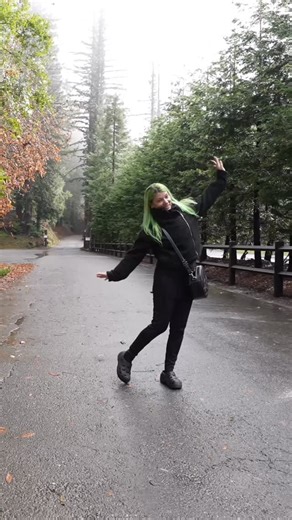 The Grimm Life Collective on Instagram: "We Visit Bohemian Grove. Watch the full video on YouTube. #travel #bohemiangrove #sanfrancisco #explore #california"