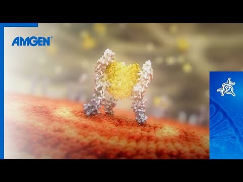 Regulation of Osteoclast Activity