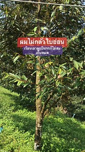 ผมใช้เเค่กางท้ายสูง อโทนิค ออกชินผมไม่รู้จัก มันก็เหลือพอได้ส้อยอีกเเหละ | สิทธิพร ฯฯ