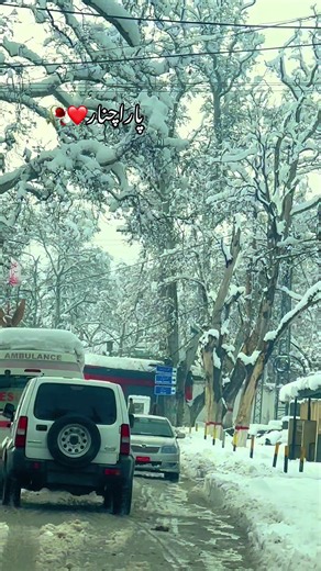 Exploring Parachinar: A Journey to Our Homeland