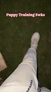 Remember that this lil girl just turned 5 wks and has been bottle-fed from day one. She is a small dog in a large world, and is learning fast. I speak very few words to her which allows her to use her natural senses. She listens to my footsteps, she sees my face, and smells exactly who I am. I am safety and confidence to her. She is learning who each dog is, and each one is teaching her something very important. She is a very bold pup. I can’t wait to see where her life takes her 🩵 | Smiley