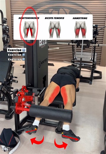 🔽라잉 레그 컬 발 각도에 따른 자극 차이 3가지(Lying Leg Curl – Foot Position Variations)🔽 1. 발 바깥쪽(Lying Leg Curl – Toes Out) - 발끝을 바깥으로 벌려 당기면 대퇴이두근 내측(Semitendinosus)에 자극이 증가되어 허벅지 안쪽 라인을 더 선명하게 만듭니다. 2. 발 안쪽(Lying Leg Curl – Toes In) - 발끝을 안쪽으로 모아 당기면 대퇴이두근 외측(Biceps Femoris)에 자극이 증가해 허벅지 바깥 라인을 두껍게 만드는 데 효과적입니다. 3. 발 중립(Lying Leg Curl – Neutral Feet) - 발을 정면으로 유지하면 햄스트링 전체(Hamstrings Overall)를 균형 있게 자극해 기본적인 뒤 허벅지 볼륨을 만들기에 가장 안정적인 방법입니다. 📌 루틴 가이드 • 각 각도 12–15회 × 3세트 • 휴식 45–60초 #legdayworkout #hamstringwor