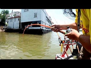 What Happens when Big Baits Land Under Ohio River Barges!