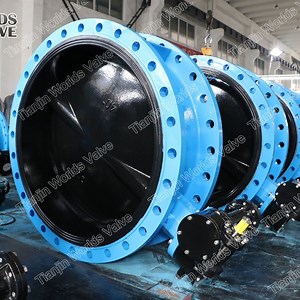 [Hot Item] API609 Center Line Double Flanged Butterfly Valves with Gearbox Operator