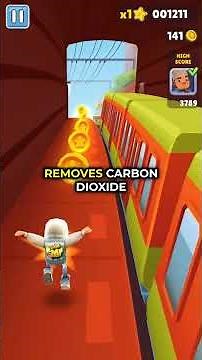 How Pyruvate Dehydrogenase Powers Cellular Energy | Biochemistry Essentials