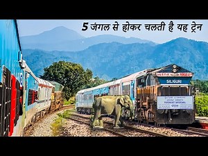 NJP to Alipurduar in Tourist Special "Train Journey in Dooars"