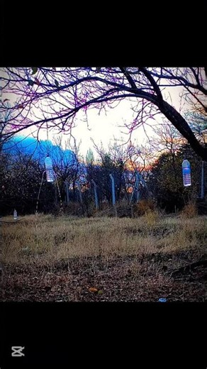 #hunting Hatsan mod 125 vortex sniper 45 metre 5.5 dürbün atışları. #gamo