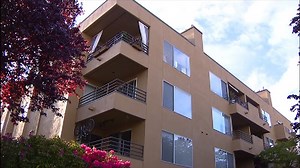 Alki Beach residents protest plan for cell antennas near school