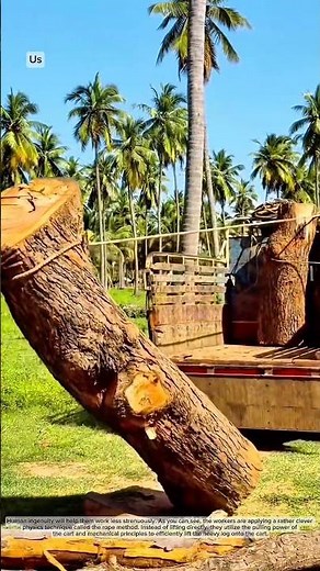 How to move a log intelligently