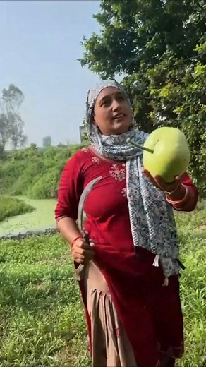 667K views · 7.5K reactions | Aaj Chal Diye Bitode par Lauki Tori Lene #villagelife 勒❤ | Pal Family Vlogs | Facebook