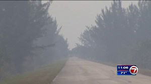 Turkey Point nuclear plant spared from overnight brush fire - WSVN 7News | Miami News, Weather, Sports | Fort Lauderdale