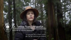 466K views · 16 reactions | Retrouvez toutes les séances sur...