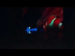 Finding Nemo p Sherman 42 wallaby way Sydney in full screen