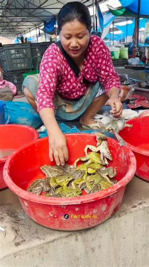 Fact With Ali on Instagram: "CHINESE FROGS Farming #reelsinstagram #viral #facts #foryou #factwithali"