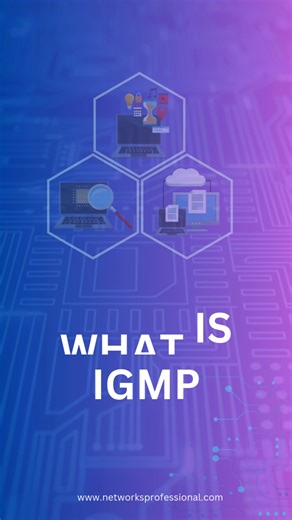 What is IGMP? | Networks Professionals
