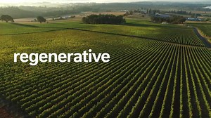 From regenerative agriculture to renewable electricity, we’re using our size, scale and reach to make a difference and to combat climate change. Find out how: http://nes.tl/netzero #ClimateAction #Nestlé #NetZero | Nestlé