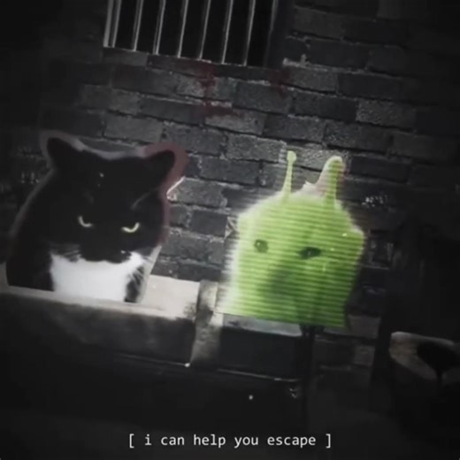 alien X cat jailbreak#viral #jailbreak