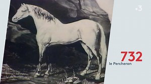 15K views · 225 reactions | Retour en images sur les origines du Percheron, célèbre cheval normand | France 3 Normandie | Facebook