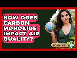 How Does Carbon Monoxide Impact Air Quality? - Explaining Ecology