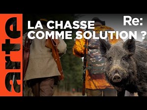La chasse au sanglier | ARTE Regards