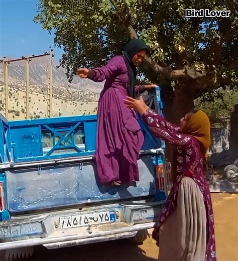 18K views · 267 reactions | The Evil Second Lady's Plot Against the First Lady | Bird Lover | Facebook