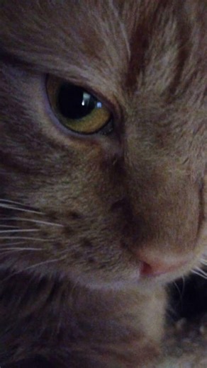 #speedsong #dancechoreography