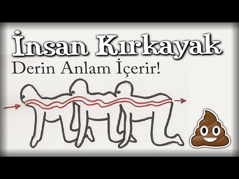 İnsan Kırkayak