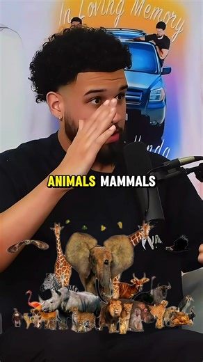 Are Humans Considered Animals? A Deep Dive