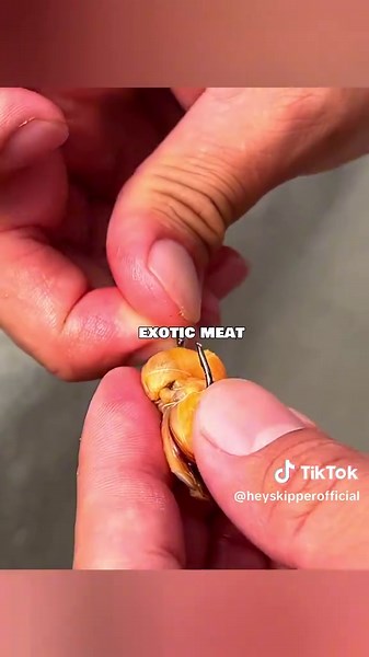 Using Cooked Fishing Bait from Walmart for Success