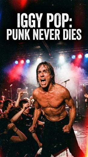 Iggy Pop: Career Journey #iggypop