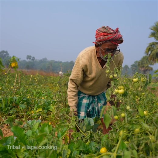 16K views · 197 reactions | Tomato Chop Recipe | unique and easy snacks recipe by old tribe couple Part 2 | Tribal village cooking | Facebook