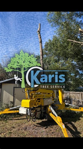 💪 Another job done the right way 🌳 This is one of those jobs where most tree companies would’ve needed a crane — and that usually adds $3,000–$6,000 extra to the bill. Why? Because not every company has the experience and knowledge to properly rig a tree down safely without a crane. At Kari’s Tree Service, we use advanced rigging techniques, planning, and experience to safely remove trees piece by piece, protecting your home, yard, and wallet 💰🏡 ✅ No unnecessary crane costs ✅ Safe, controlle