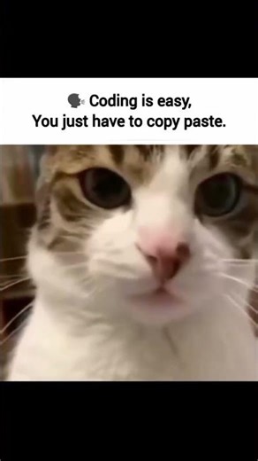 Others:"Coding is very easy."#programming#coding #codinglife#code#coder #programmer#developer#memes