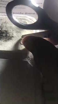 i fixed iphone 17 pro max dummy with cardboard part 1