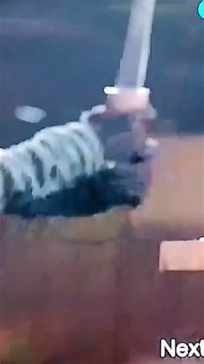 the best female sword fighter of the present era⚔️🗡️⚔️