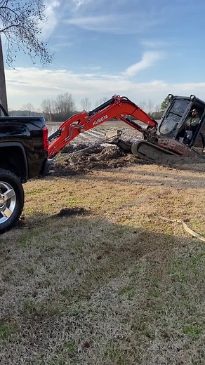 Southern Magnolia Retrievers on TikTok
