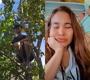 8.9K views · 140 reactions | #reelschallengereelschallenge #everyoneactivefollowersシfypシ゚ #everyoneactivefollowersシfypシ゚viralシalシ #reelschallengereelschallengereelschallengereelschallenge #reelschallengereelschallengereels #funnyreelsvideo #funnyvideos #funnymemes | Silver Fox | Facebook