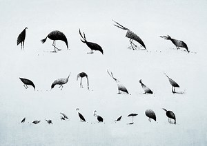 The Prophet - On Freedom TRAILER