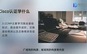 Cisco认证学什么