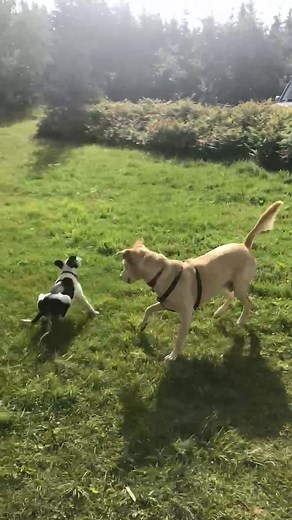 Darrell Trump on Reels | Facebook