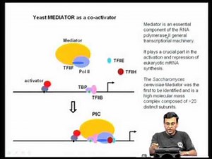 Mod-02 Lec-06 Transcription factors: transcription activation domains
