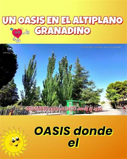 THE OASIS of GRANADA?#tourism #vacation