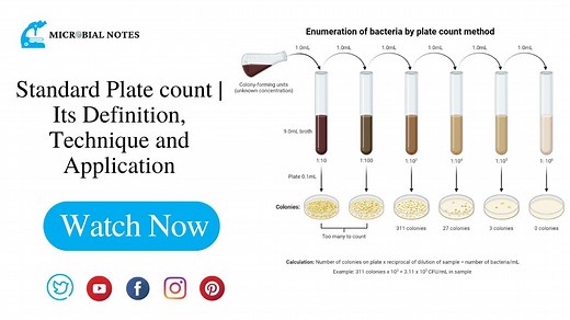Standard Plate count | Its Definition, Technique and Application